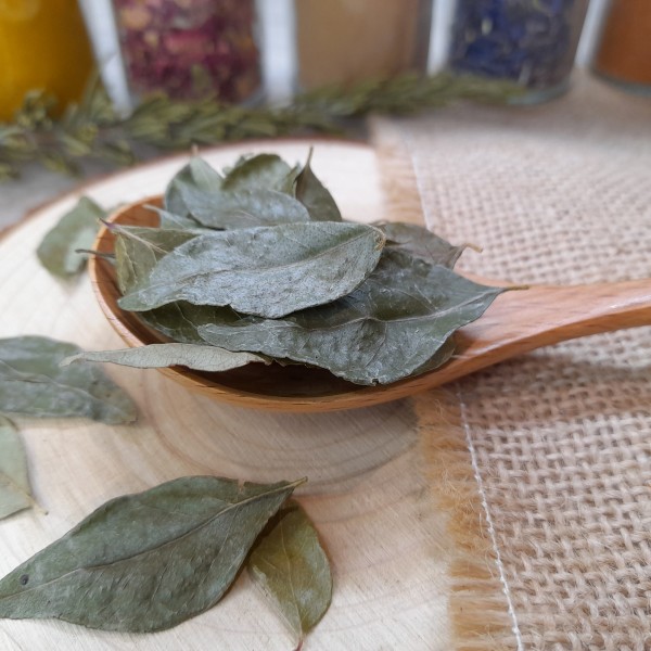 Herbes de Provence - Achat, utilisation et recettes - L'ile aux épices