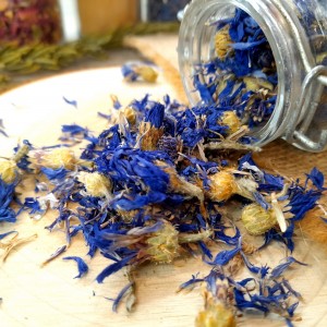 Bleuet Fleurs Séchées Comestibles Bio 4,5 g Mirontaine