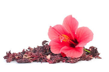 Fleur d'hibiscus séchée