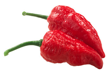 Acheter piment Carolina Reaper le plus fort du monde Pepper X 