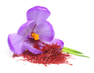 SAFRAN prix au gramme, Stigmate poudre (Crocus sativus) - Apophycaire